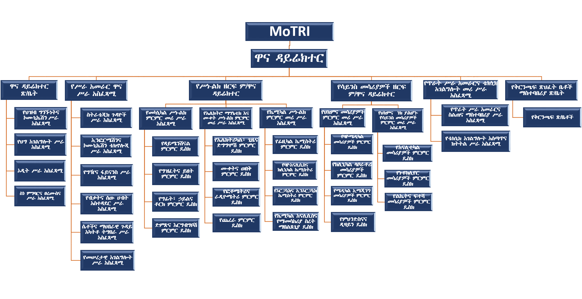 Ethiopian Metrology Institute Organizational Structure