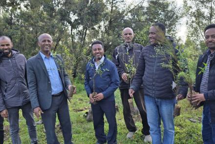 Plantation